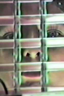 Random Frequencies #1 (1982)