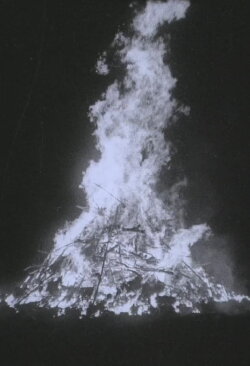 Rat Fire (2018) Rat Fire (2018)