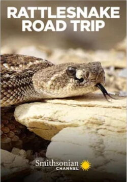 Rattlesnake Road Trip (2019) Rattlesnake Road Trip (2019)