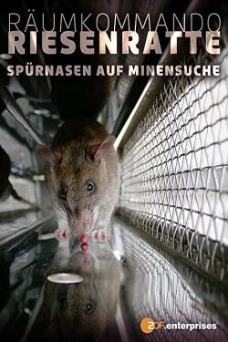 Räumkommando Riesenratte - Spürnasen auf Minensuche (2008) Räumkommando Riesenratte - Spürnasen auf Minensuche (2008)