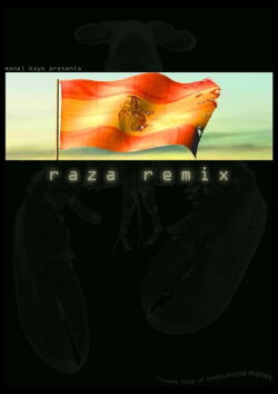 Raza Remix (2010) Raza Remix (2010)