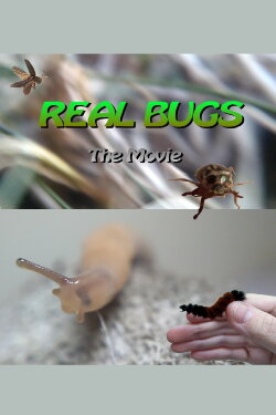 Real Bugs: The Movie (2019) Real Bugs: The Movie (2019)
