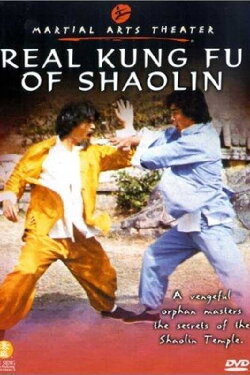 Real Kung Fu Of Shaolin (1980) Real Kung Fu Of Shaolin (1980)