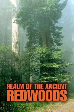 Realm of the Ancient Redwoods (2014) Realm of the Ancient Redwoods (2014)