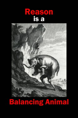 Reason is a Balancing Animal (2017)