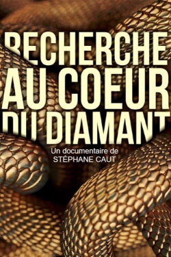 Recherche au coeur du Diamant (2020) Recherche au coeur du Diamant (2020)