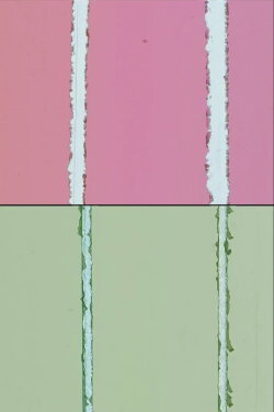 Red & Green (1968) Red & Green (1968)