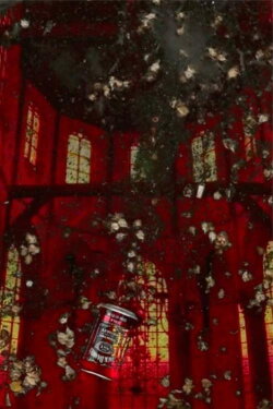 Red Light (2018)