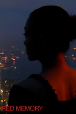 Red Memory (2010)