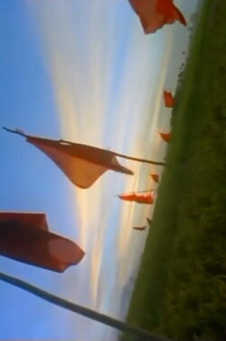 Red Saga (2004)