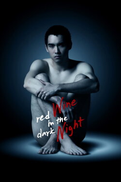Red Wine in the Dark Night (2015) Red Wine in the Dark Night (2015)