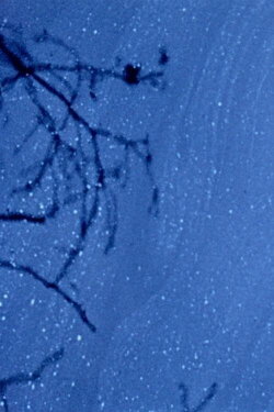 Reflections (1958)