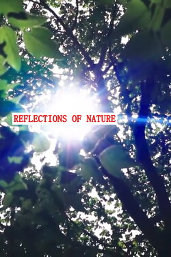 Reflections of Nature (2021) Reflections of Nature (2021)
