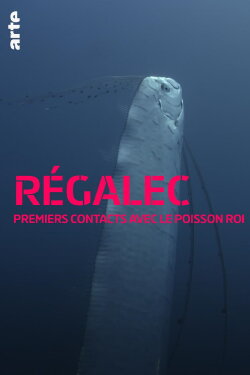 Régalec, premiers contacts avec le poisson roi (2019) Régalec, premiers contacts avec le poisson roi (2019)