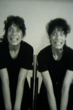 Relative Similarities (1979)