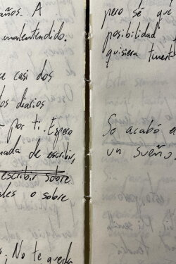Releyendo mi diario (Autorretrato) (2022)