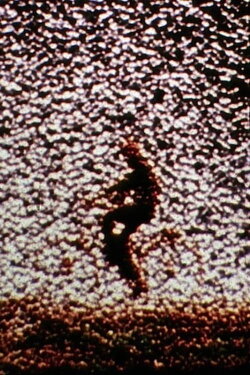 Remains to Be Seen (1989) Remains to Be Seen (1989)