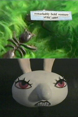 Remarkably Bold Venture of the Rabbit (2000)
