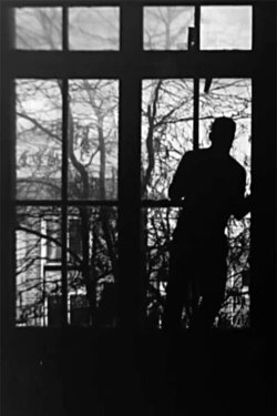 Remnant From Echo and Shadow (2020) Remnant From Echo and Shadow (2020)