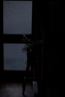 Remote (2016)