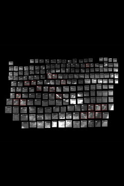 Remote Occlusions (2024)