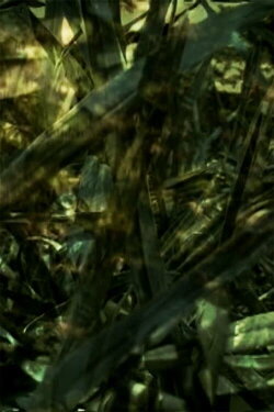 Reprieve (2007)