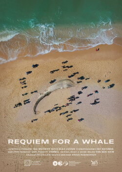 Requiem for a Whale (2022) Requiem for a Whale (2022)
