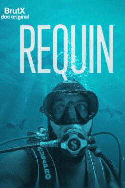 Requin (2022)