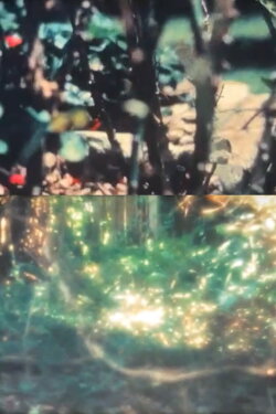 Reseeding Air (1996)