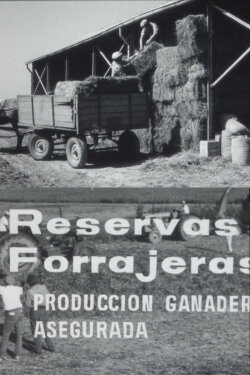 Reservas forrajeras, producción ganadera asegurada (1965) Reservas forrajeras, producción ganadera asegurada (1965)