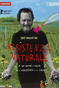 Resistenza alsaziana (2014) Resistenza alsaziana (2014)