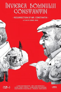 Resurrection of Mr. Constantin (2019) Resurrection of Mr. Constantin (2019)