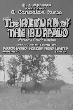 Return of the Buffalo (1938)