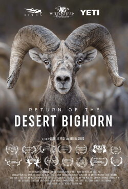 Return of the Desert Bighorn (2018) Return of the Desert Bighorn (2018)