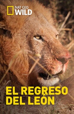 Return of The Lion (2017) Return of The Lion (2017)