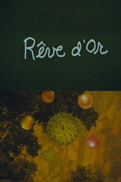 Reve d'Or (2024) Reve d'Or (2024)