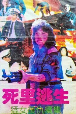 Revenge of the Fierce Woman 2: The Deadly Escape (1991) Revenge of the Fierce Woman 2: The Deadly Escape (1991)
