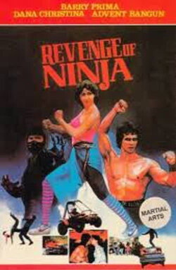 Revenge of the Ninja (1984) Revenge of the Ninja (1984)