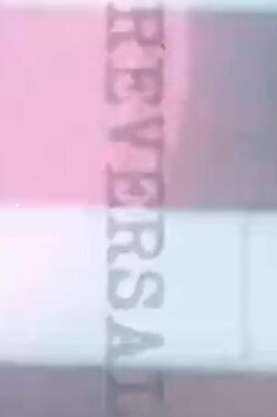 Reversal (2024)