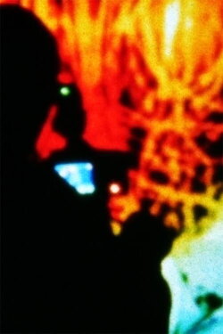 Rhizomatic Directed Simulation (2014)