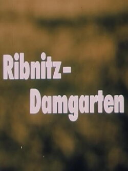 Ribnitz-Damgarten (1989) Ribnitz-Damgarten (1989)