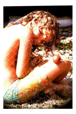 Ricciocapriccio (1981) Ricciocapriccio (1981)