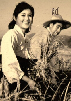 Rice (1963) Rice (1963)