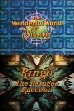Ringo, the Refugee Raccoon (1974) Ringo, the Refugee Raccoon (1974)