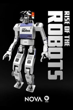 Rise of the Robots (2016) Rise of the Robots (2016)