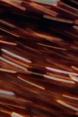 Ritual by Rote (2001) Ritual by Rote (2001)