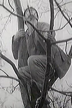 Road for Angels (1995)