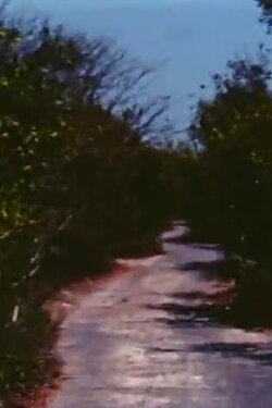 Road to Nowhere (1971) Road to Nowhere (1971)