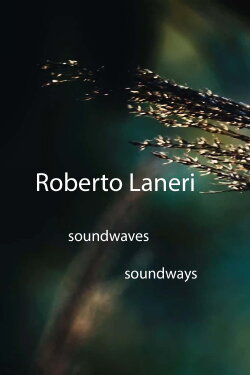Roberto Laneri: Soundwaves Soundways (2023) Roberto Laneri: Soundwaves Soundways (2023)