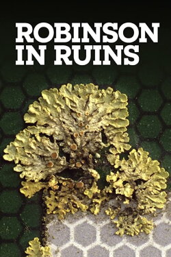 Robinson in Ruins (2010) Robinson in Ruins (2010)